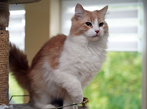 Hendrik am 29.05.2025